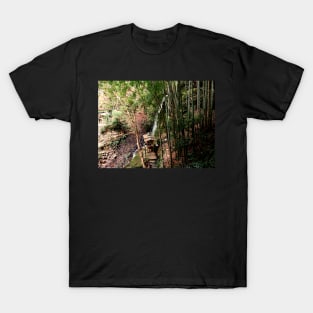 Yugawara Waterfall in Japan T-Shirt